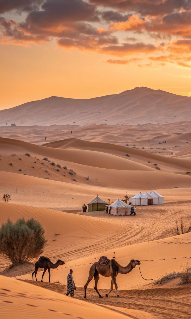 Desert Safaris